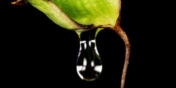 water drops - water drops